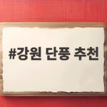 강원 단풍 추천