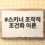 스키너 조작적 조건화 이론 일상에서 행동을 바꾸는 비밀 스키너 조작적 조건화 이론