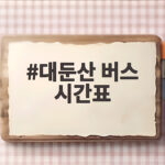 대둔산 버스 시간표 한눈에 확인하고 편하게 떠나는 법 대둔산 버스 시간표