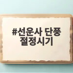 선운사 단풍 절정시기 11월 초가 가장 좋은 이유와 준비물 선운사 단풍 절정시기
