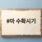 마 수확시기