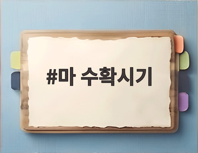 마 수확시기