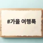 가을 여행룩 이렇게 입으면 사진도 편안함도 스타일도 놓치지 않아요 가을 여행룩