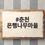 춘천 은행나무마을