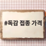 독감 접종 가격