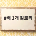 배 1개 칼로리 다이어트 중에도 부담 없이 먹을 수 있을까 배 1개 칼로리