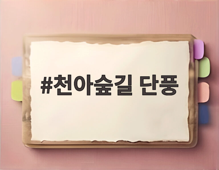 천아숲길 단풍