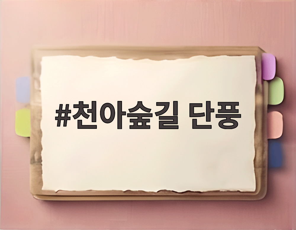 천아숲길 단풍