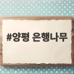 양평 은행나무