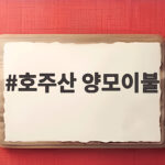 호주산 양모이불