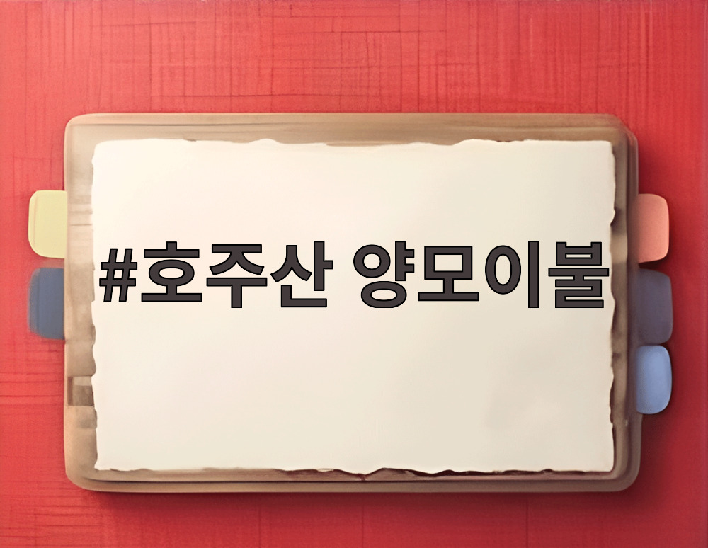 호주산 양모이불