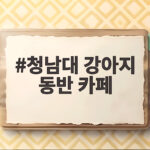 청남대 강아지 동반 카페 다녀온 후기 이렇게 즐기면 후회 없어요 청남대 강아지 동반 카페