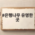 은행나무 유명한 곳