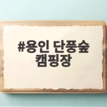 용인 단풍숲 캠핑장