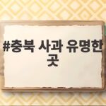 충북 사과 유명한 곳 다녀보니 이유를 알게 됩니다 충북 사과 유명한 곳