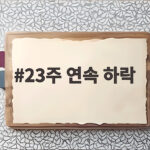 23주 연속 하락