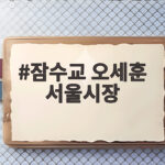 잠수교 오세훈 서울시장