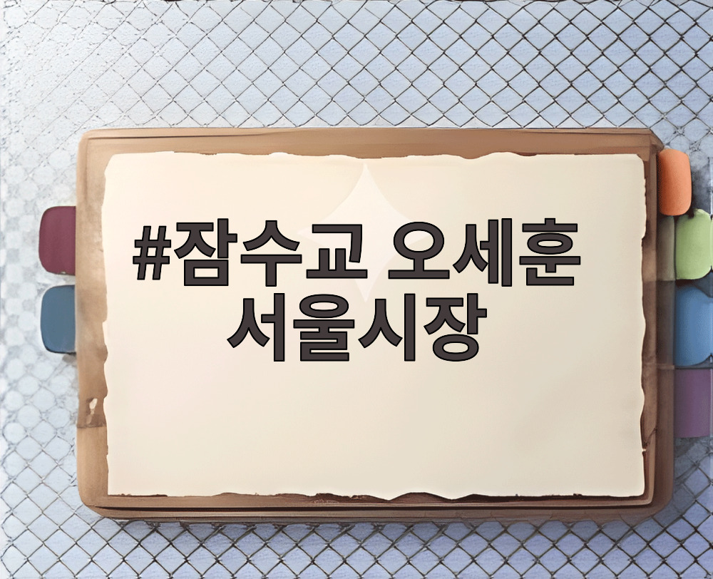 잠수교 오세훈 서울시장