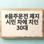 음주운전 제지 시민 차에 치인 30대 결국 입건된 이유 음주운전 제지 시민 차에 치인 30대