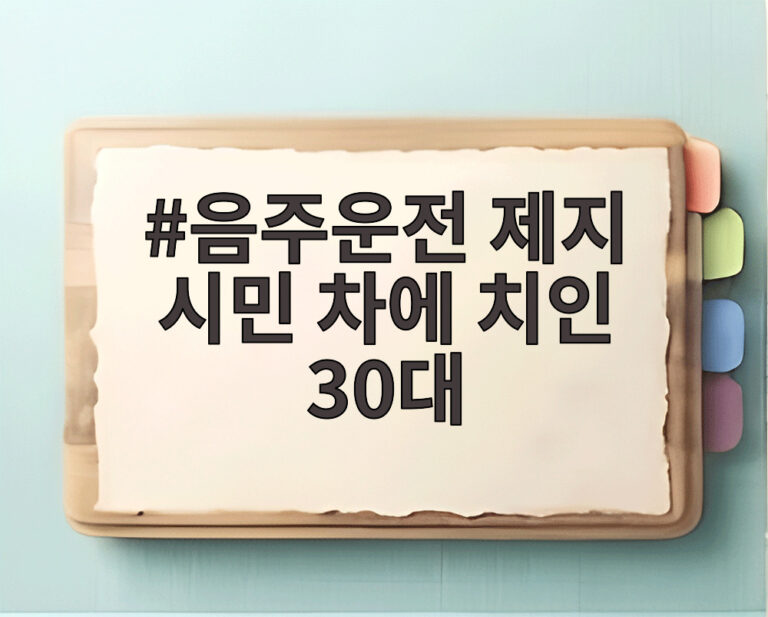음주운전 제지 시민 차에 치인 30대