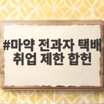 마약 전과자 택배 취업 제한 합헌 결정이 남긴 의미와 우리가 알아야 할 변화 마약 전과자 택배 취업 제한 합헌