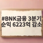 BNK금융 3분기 순익 6223억 감소