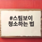스팀보이 청소하는 법 이렇게 하면 찌든 때가 사라져요 스팀보이 청소하는 법