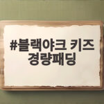 블랙야크 키즈 경량패딩 환절기 등원룩 고민이라면 이걸로 정리 블랙야크 키즈 경량패딩