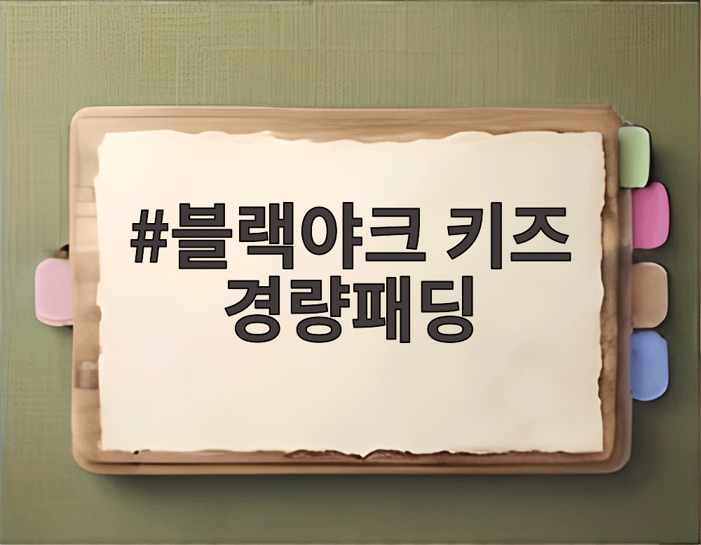 블랙야크 키즈 경량패딩