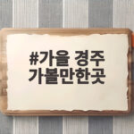 가을 경주 가볼만한곳