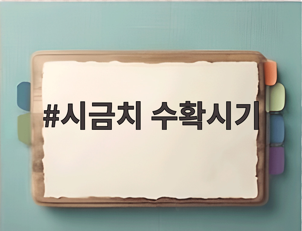 시금치 수확시기