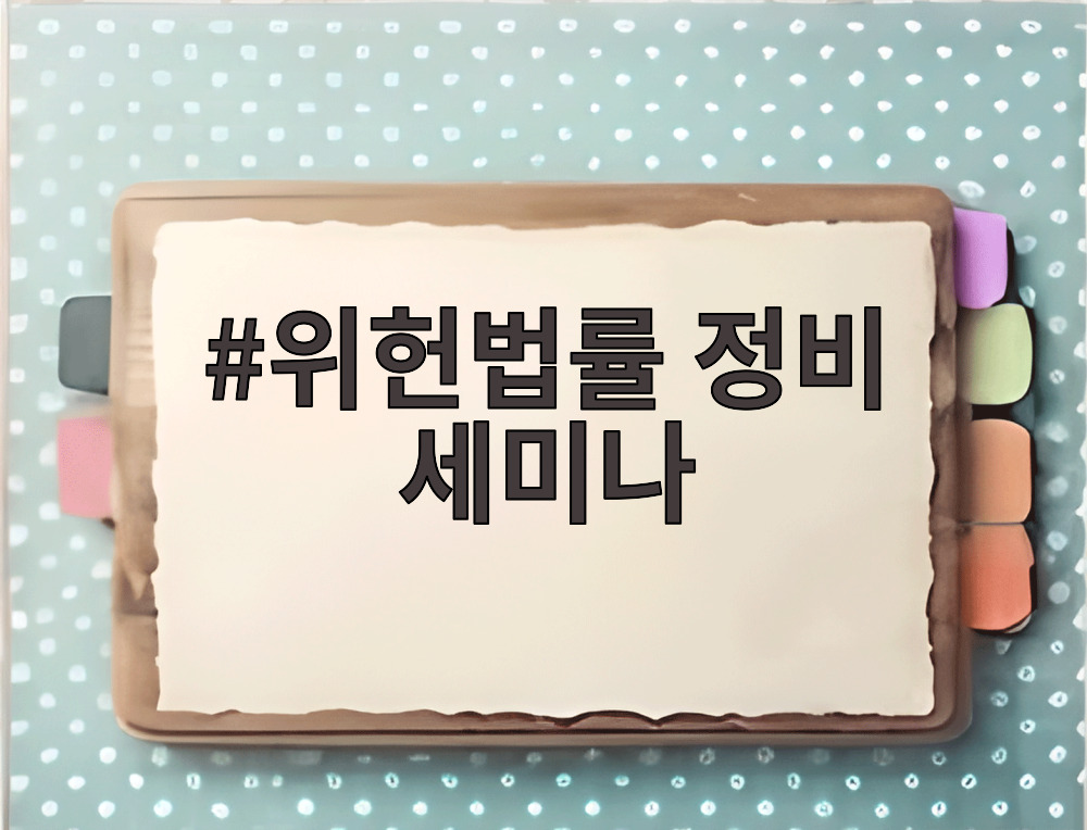 위헌법률 정비 세미나