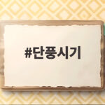 단풍시기