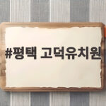 평택 고덕유치원