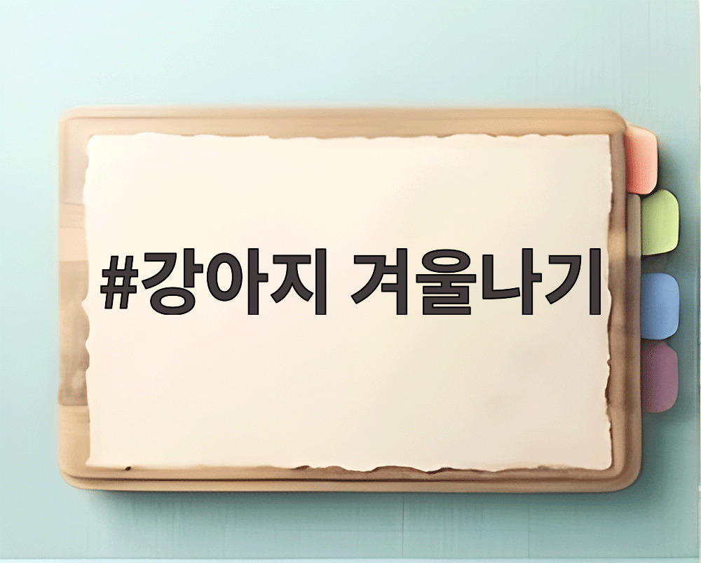 강아지 겨울나기
