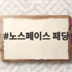 노스페이스 패딩 벤투스 온 자켓 실물 후기 사이즈 컬러 비교 노스페이스 패딩