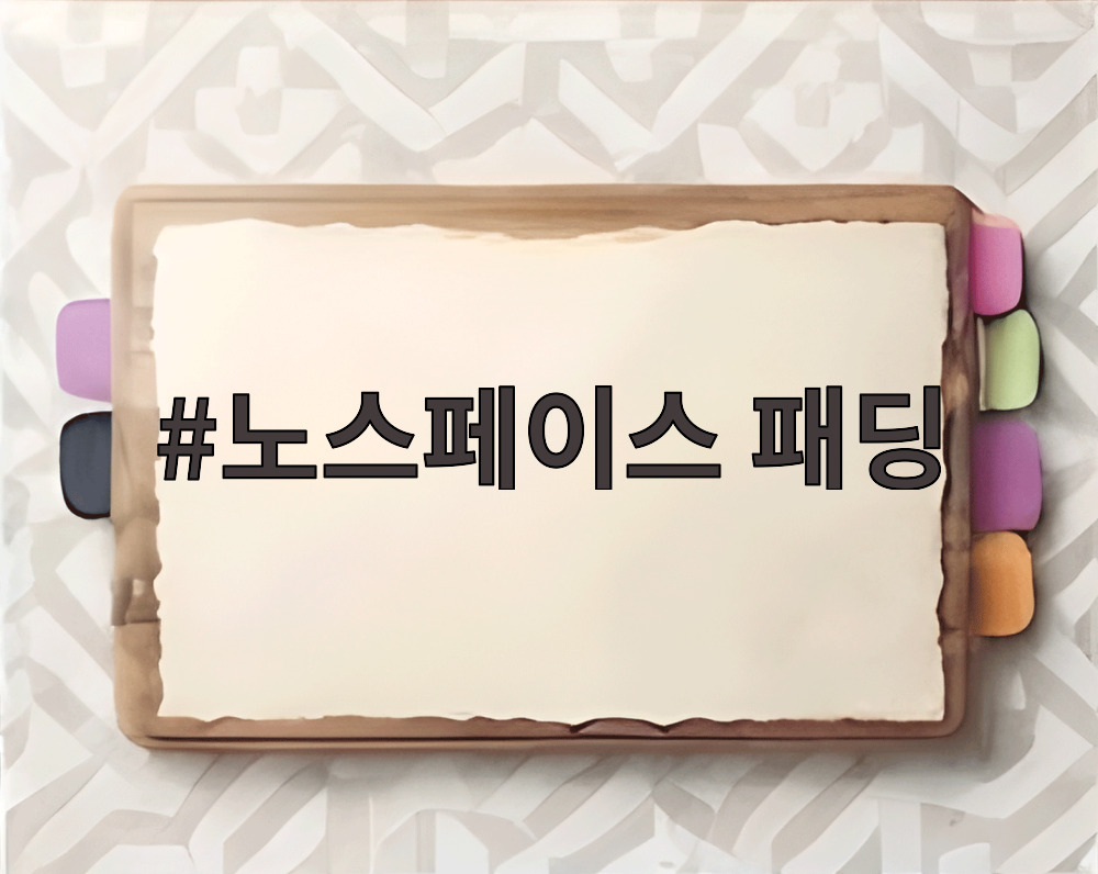 노스페이스 패딩