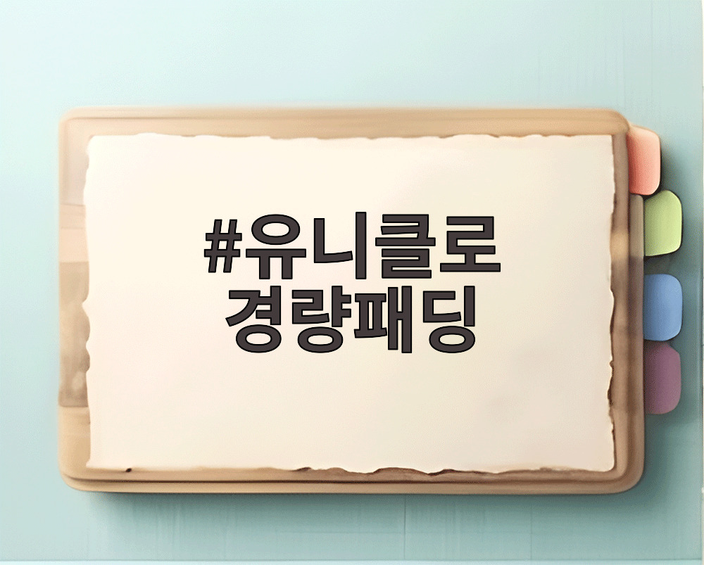 유니클로 경량패딩