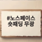 노스페이스 숏패딩 무광 왜 요즘 가장 뜨는 겨울 아우터일까 노스페이스 숏패딩 무광