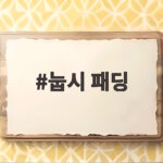 눕시 패딩