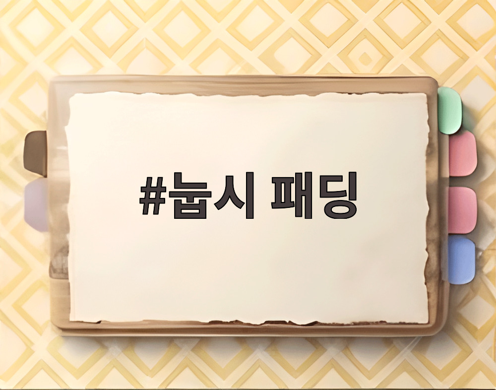 눕시 패딩