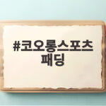 코오롱스포츠 패딩 2026 겨울 경량 다운 가볍게 고르는 방법 코오롱스포츠 패딩