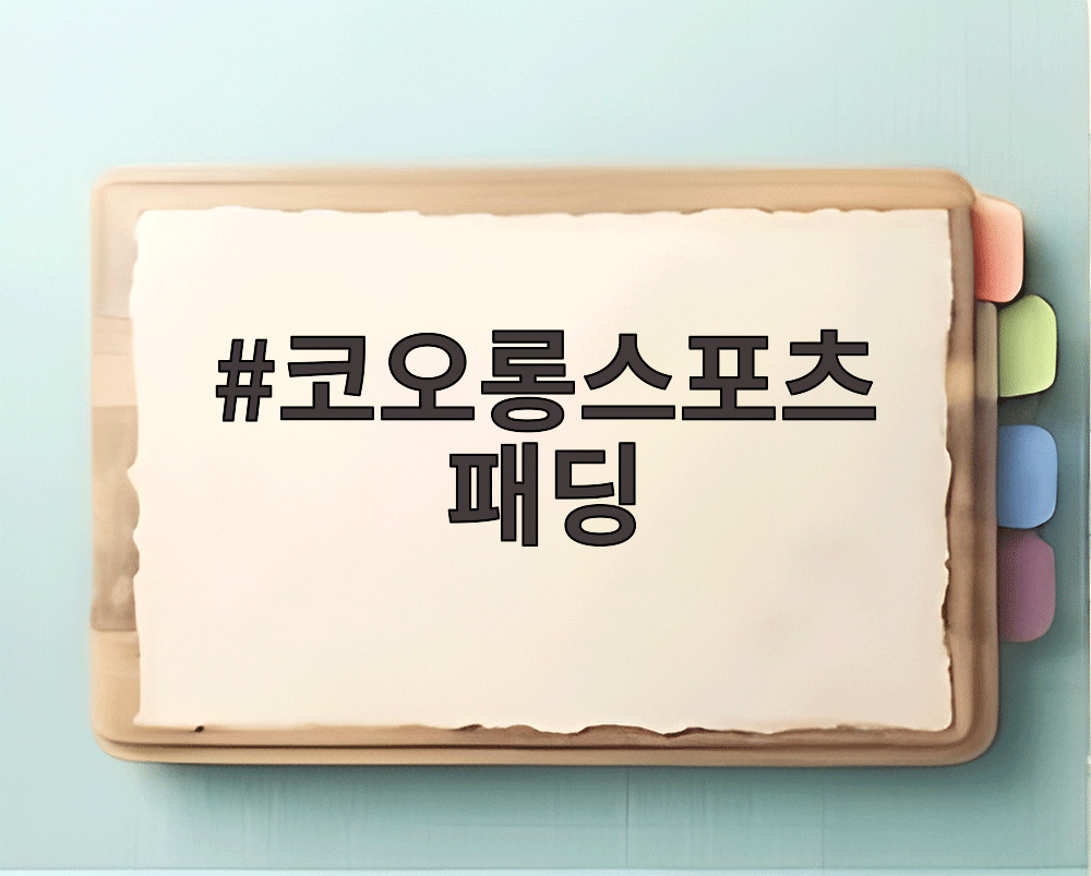 코오롱스포츠 패딩