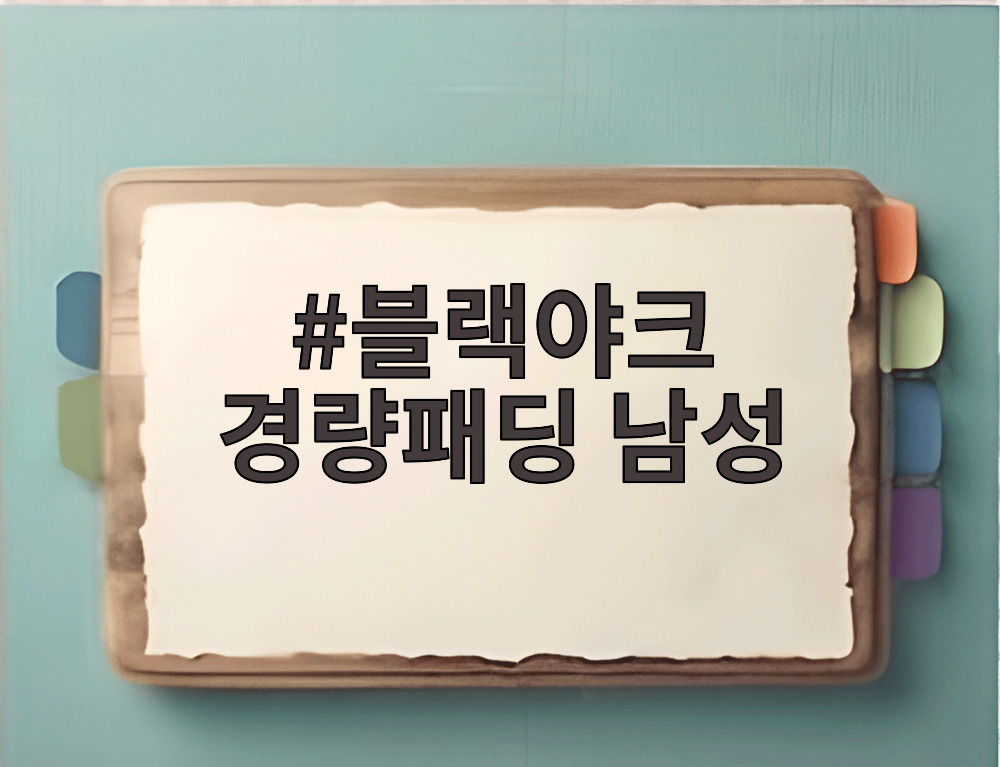 블랙야크 경량패딩 남성