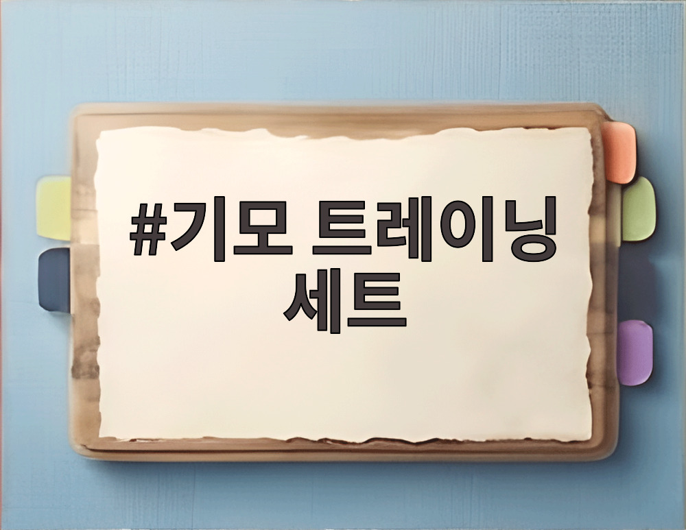 기모 트레이닝 세트