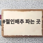 절인배추 파는 곳 믿고 고를 수 있는 곳은 어디일까 절인배추 파는 곳