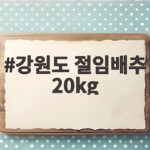올해 강원도 절임배추 20kg 예약 시기와 가격 김장 준비 방법 강원도 절임배추 20kg