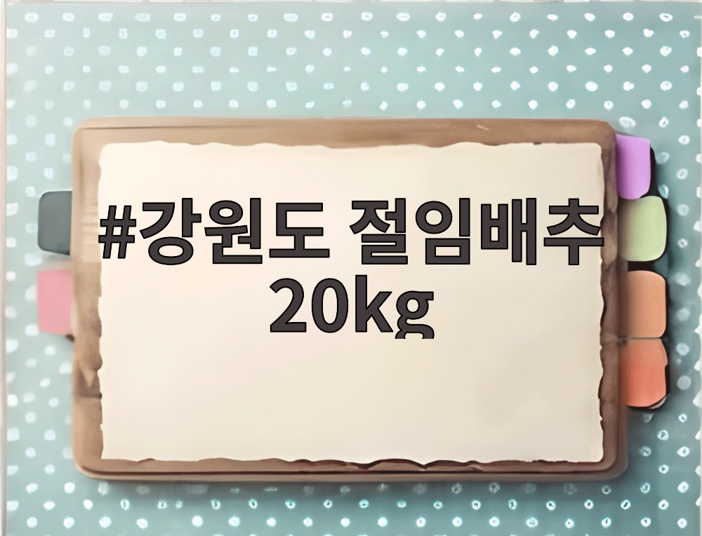 강원도 절임배추 20kg