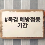 독감 예방접종 기간