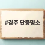 경주 단풍명소 베스트 코스와 놓치면 아쉬운 은행나무길 경주 단풍명소